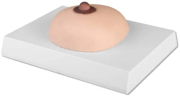 Brustkrebs-Tastmodell