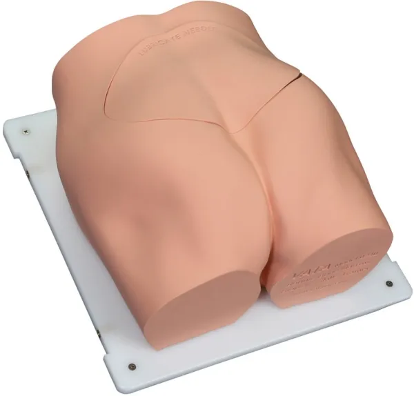 Bonnie Knochenmarkbiopsietrainer