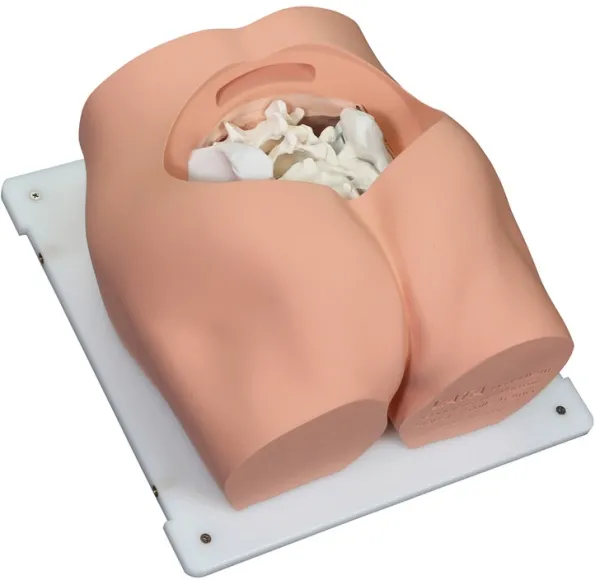 Bonnie Knochenmarkbiopsietrainer