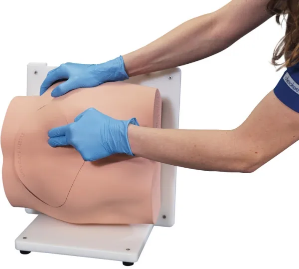 Bonnie Knochenmarkbiopsietrainer