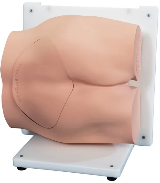 Bonnie Knochenmarkbiopsietrainer