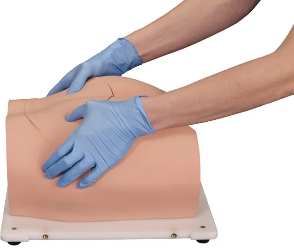 Bonnie Knochenmarkbiopsietrainer