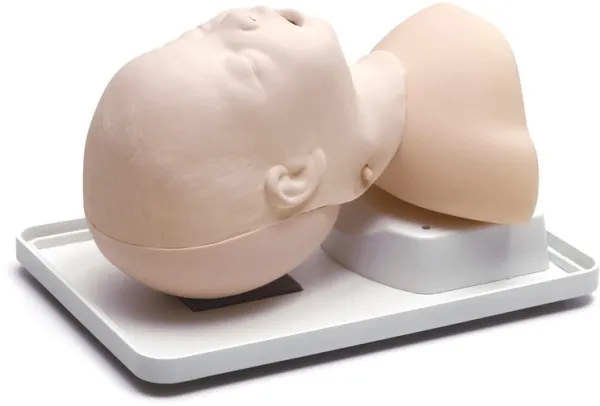 Neugeborenen Intubationstrainer