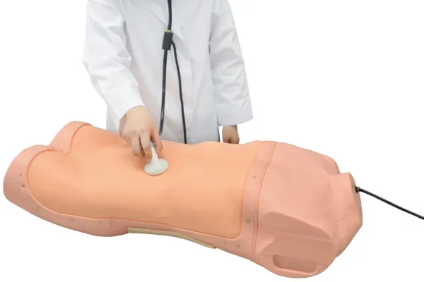 Abdominaler Untersuchungs-Simulator