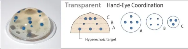Ultraschallgestütztes Brustbiopsie-Phantom (Set mit zwei Basisphantomen)