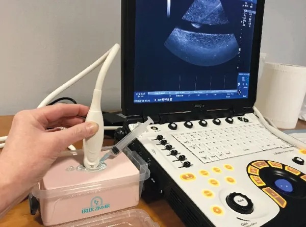 SonoEZ Ultraschalltrainer &quote;tiefe Venenthrombose&quote;