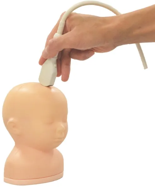 Neonatales Ultraschall-Übungsphantom Kopf