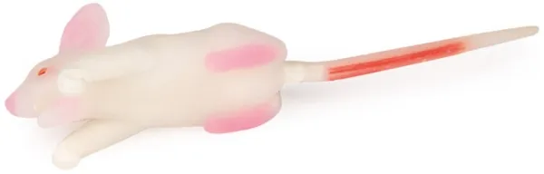 Simulationsmodell Maus