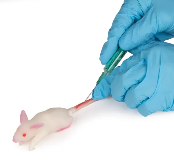 Simulationsmodell Maus