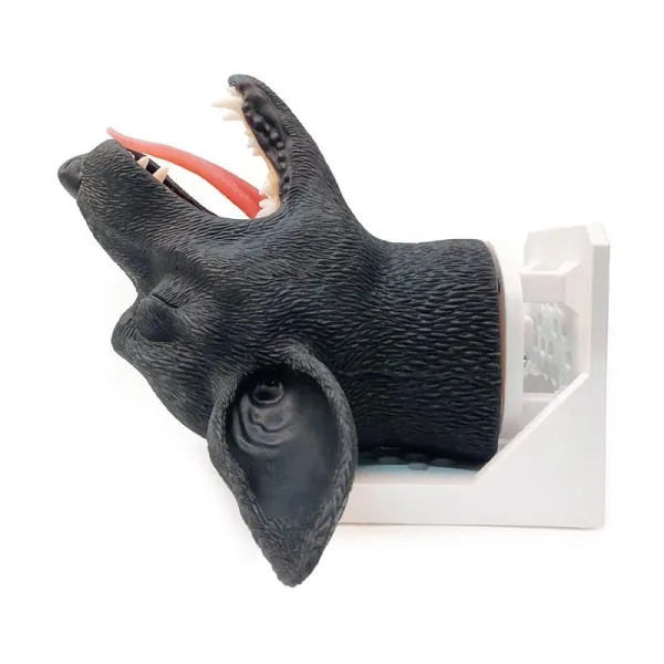 Intubationskopf Hund