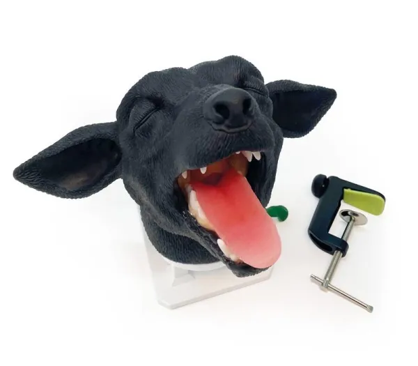 Intubationskopf Hund
