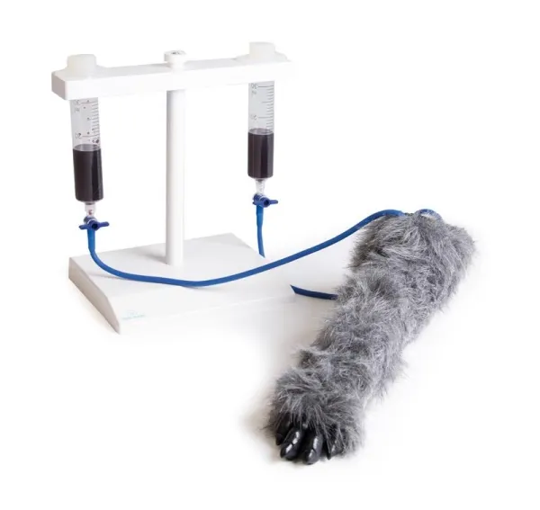 I.V. Injektionsbein Hund