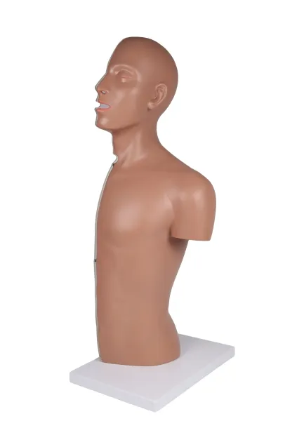 NG & Tracheostomie Torso, lebensgross