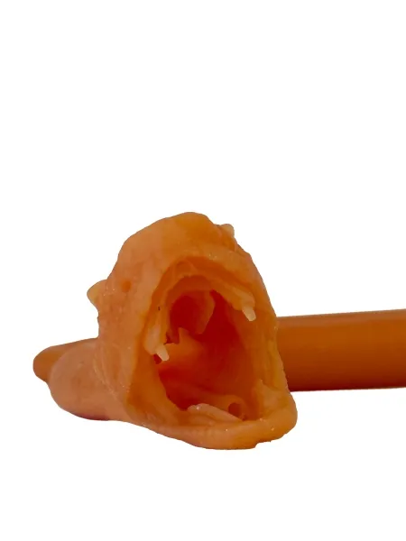 Endotracheale Intubation der Schlange