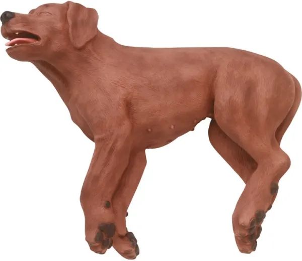 HLW Übungshund CasPeR