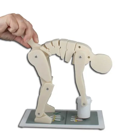 Demonstrationsfigur Richtiges und falsches Heben