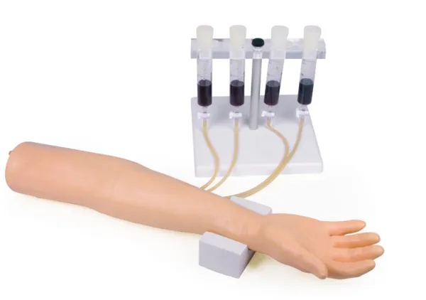 Trainingsarm für intravenöse Injektion und Infusion