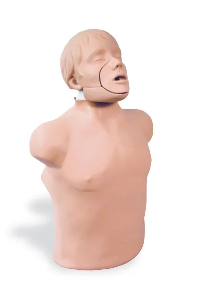 Jaw Thrust Brad
