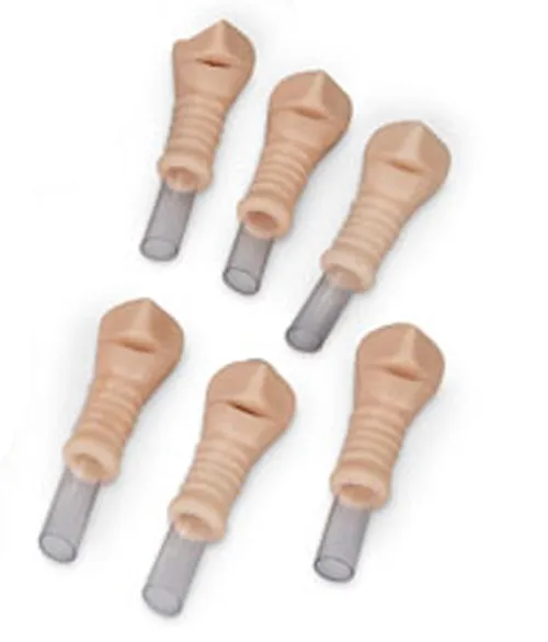 Ersatztrachea, 6er Set, Erwachsene