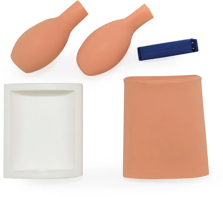 Blasenpunktionstrainer (Zystozentese)