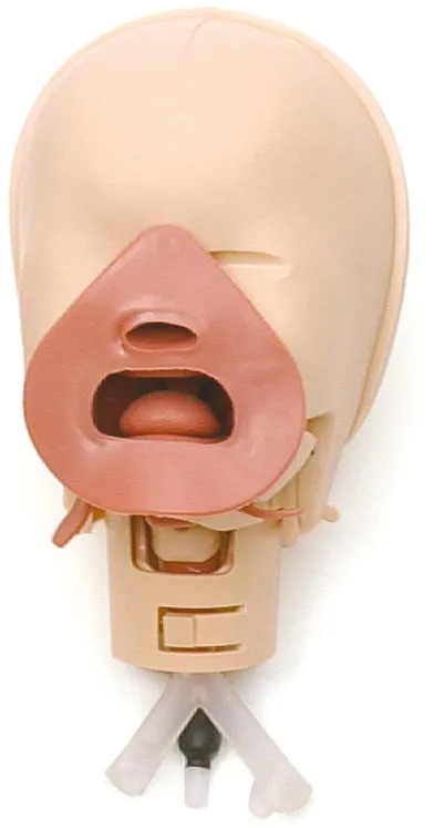 Neugeborenen Intubationstrainer