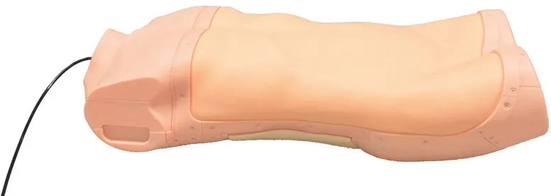 Abdominaler Untersuchungs-Simulator