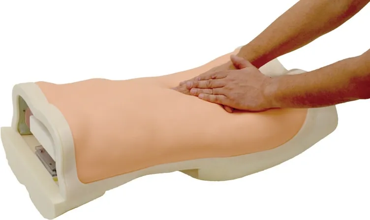Abdominaler Untersuchungs-Simulator