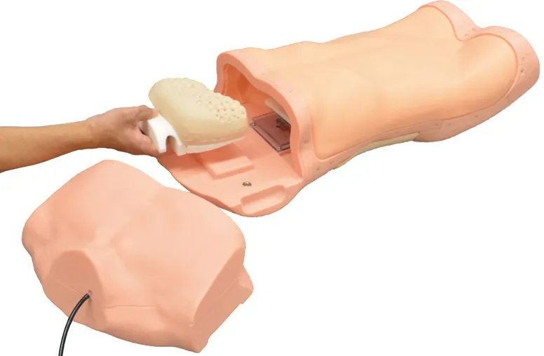 Abdominaler Untersuchungs-Simulator