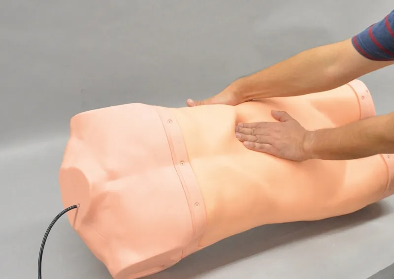 Abdominaler Untersuchungs-Simulator