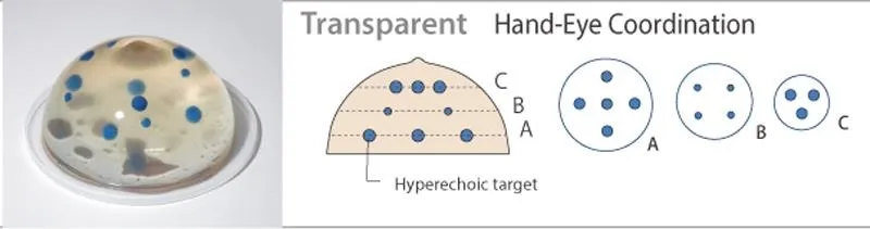Ultraschallgestütztes Brustbiopsie-Phantom (Set mit zwei Basisphantomen)