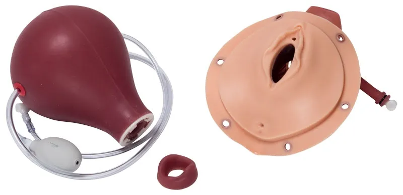 Modul Postpartale Blutung für R17860