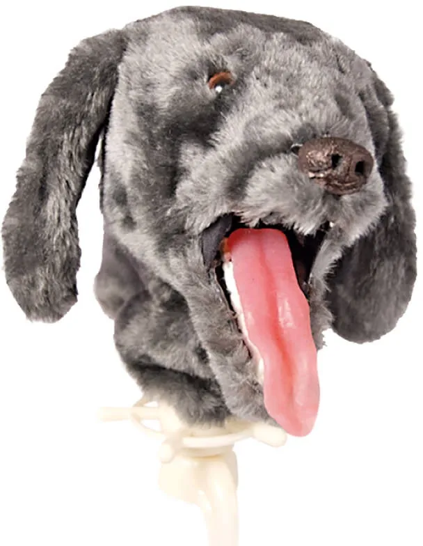K-9 Intubationstrainer