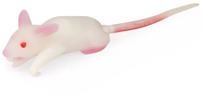 Simulationsmodell Maus