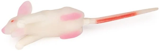 Simulationsmodell Maus