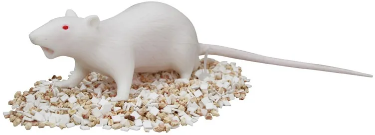 Natsume Ratte