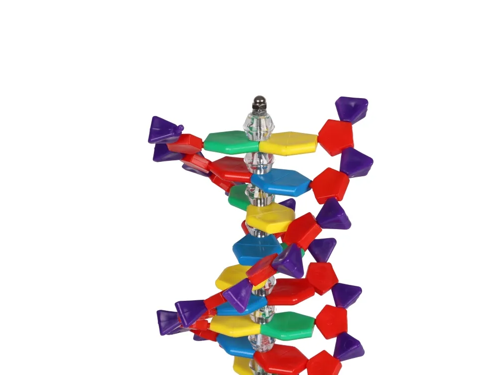 DNA Doppelhelix