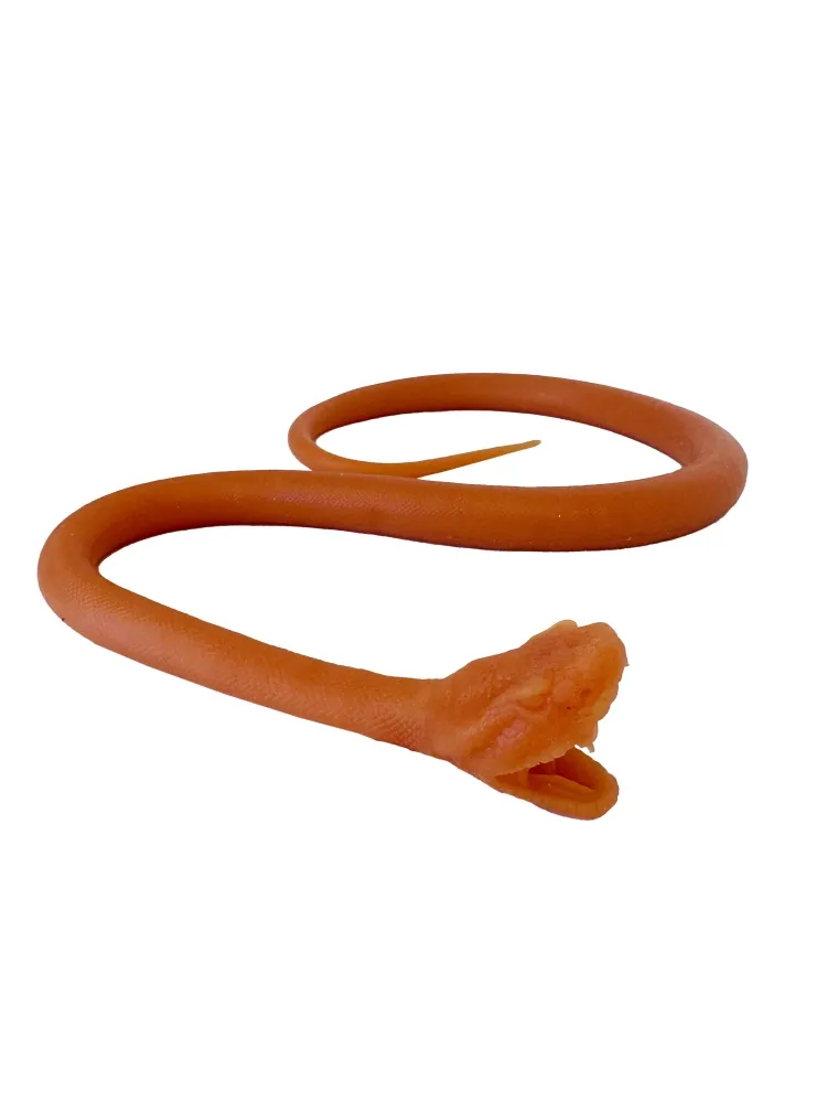Endotracheale Intubation der Schlange