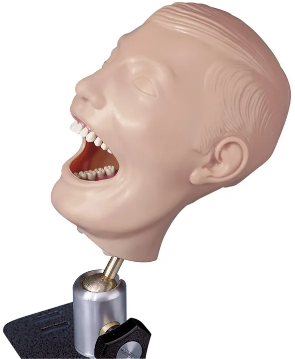 Dentalpuppe