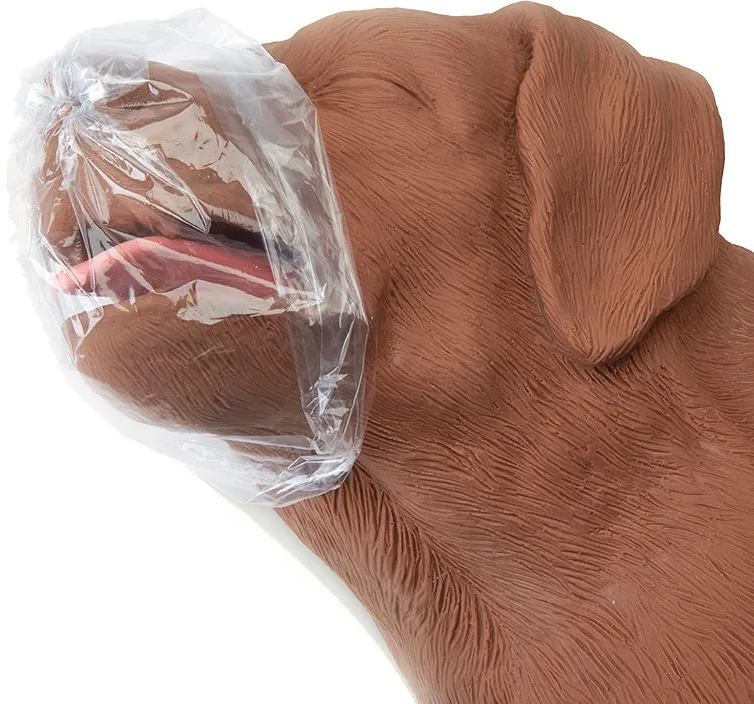 HLW Übungshund CasPeR