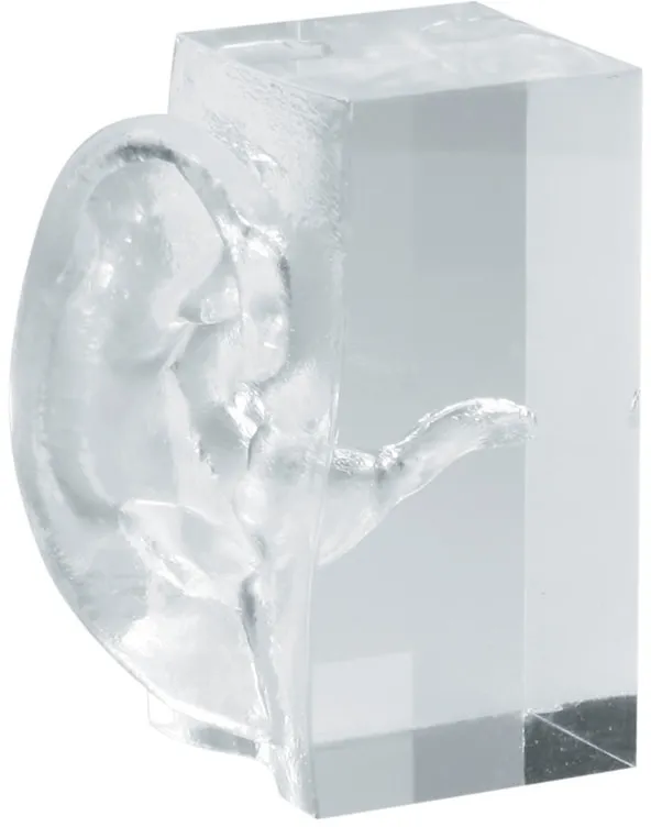 Transparentes Ohrmodell