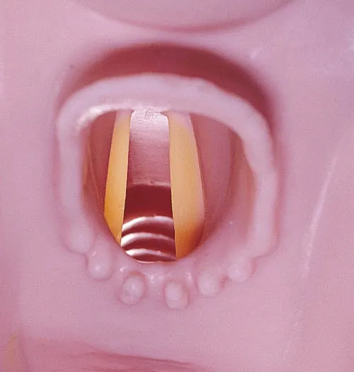 Airway Larry Atemweg-Trainer für R10052