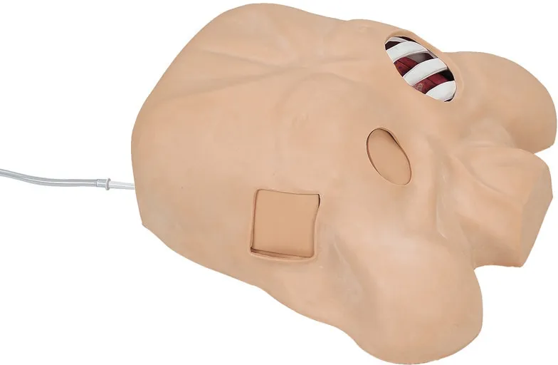 Thoraxdrainage-Simulator