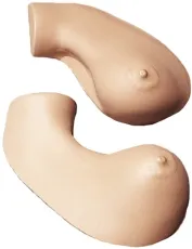 Übungsmodell Brustuntersuchung