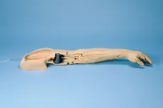 Übungsarm Intravenöse Injektion