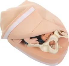 Modellset abdominale Palpation