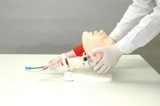 Demonstrationsmodell schwieriges Atemwegsmanagement