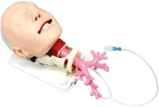 Simulator für schwieriges Atemwegsmanagement für die Fiberbronchosskopie