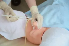 Männliches Genital für R16228