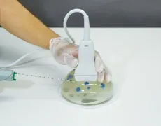 Ultraschallgestütztes Brustbiopsie-Phantom (Set mit zwei Basisphantomen)