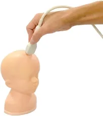 Neonatales Ultraschall-Übungsphantom Kopf mit Hydrocephalus